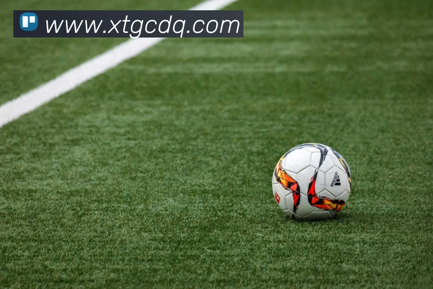 华体会APP 封面图