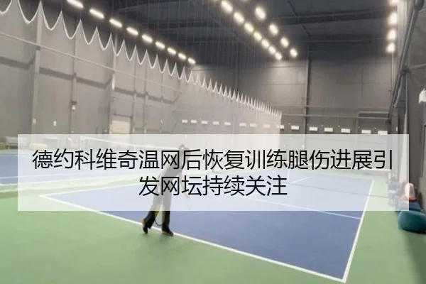 德约科维奇温网后恢复训练腿伤进展引发网坛持续关注